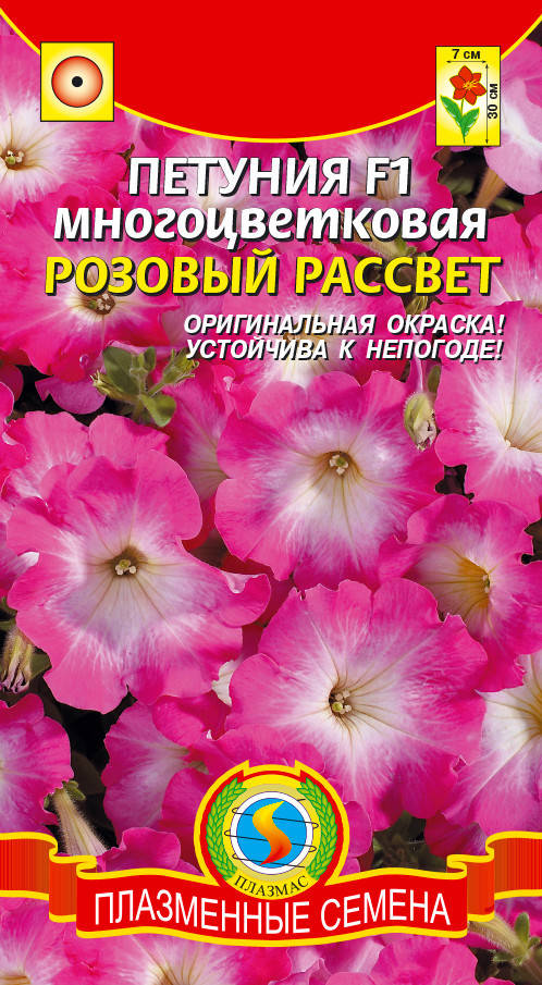 

Петуния многоцветковая Розовый рассвет 10 драже в пробирке (Плазменные семена)