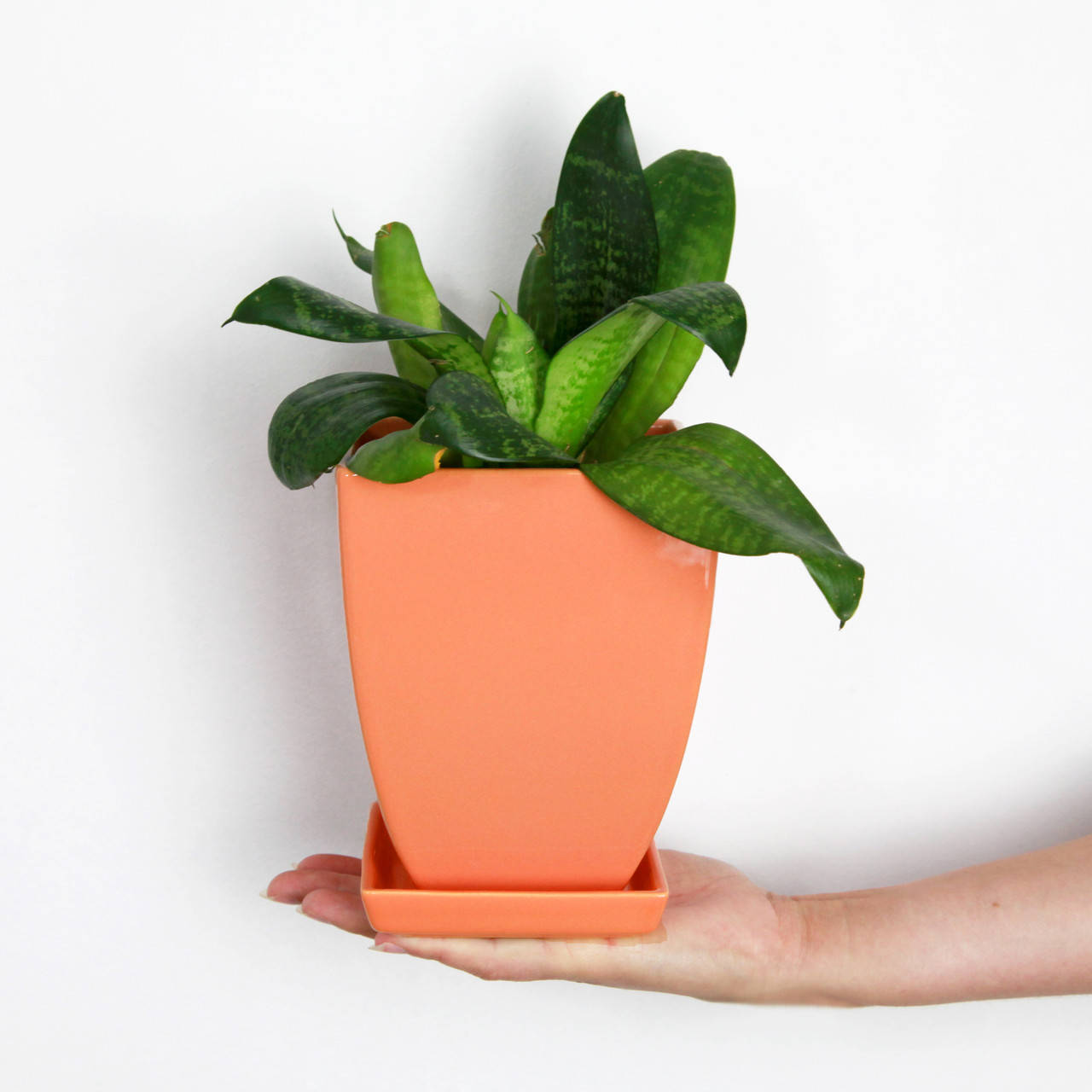 

Вазон керамический для цветов "Конус четырехугольный" 1.1л Оранжевый Rezon P091