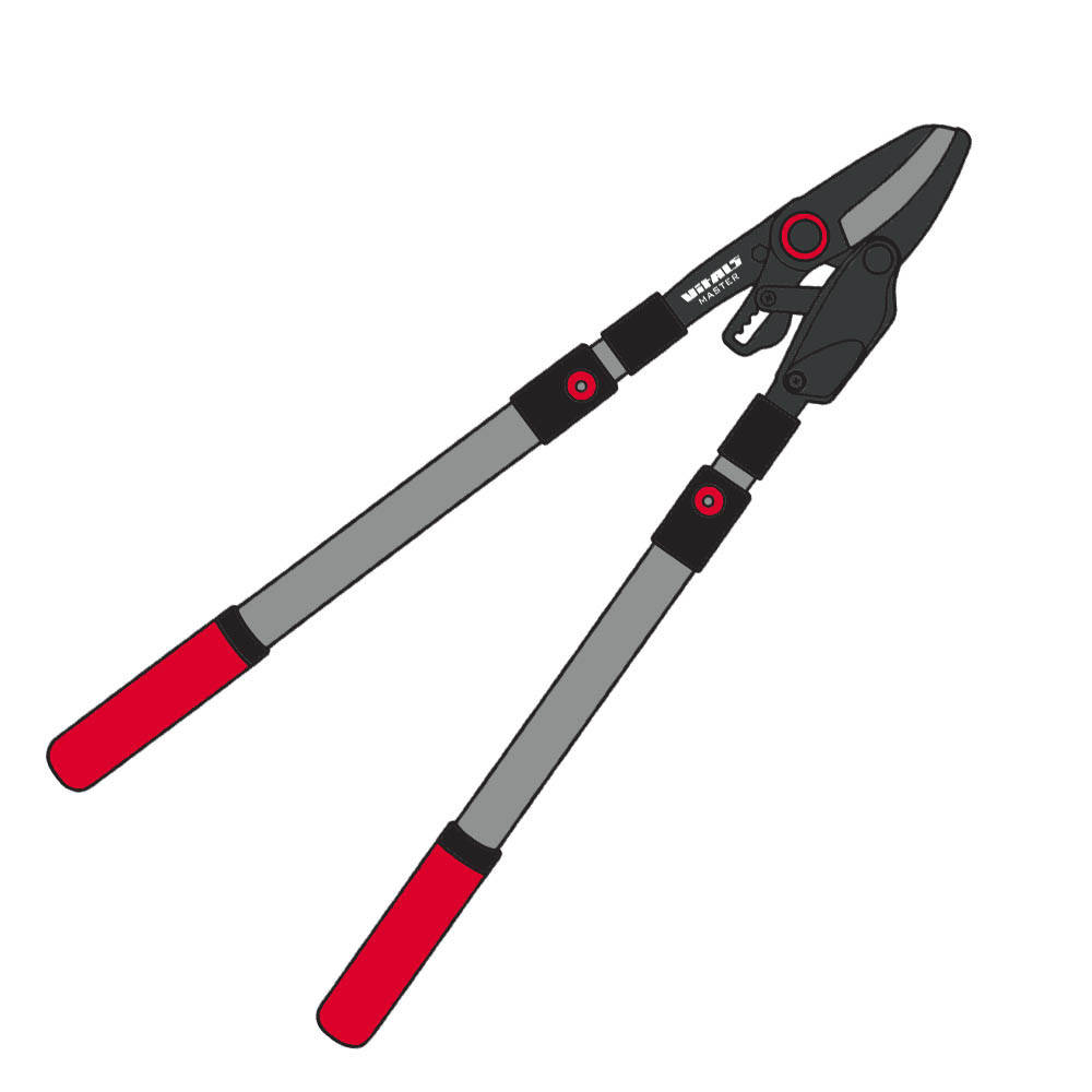 

Сучкорез телескопический с храповым механизмом Vitals Master LS-910-02RT