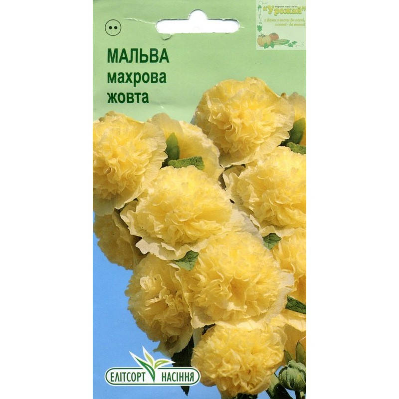 

Семена цветы Мальва махровая желтая, 10 семян, Желтый