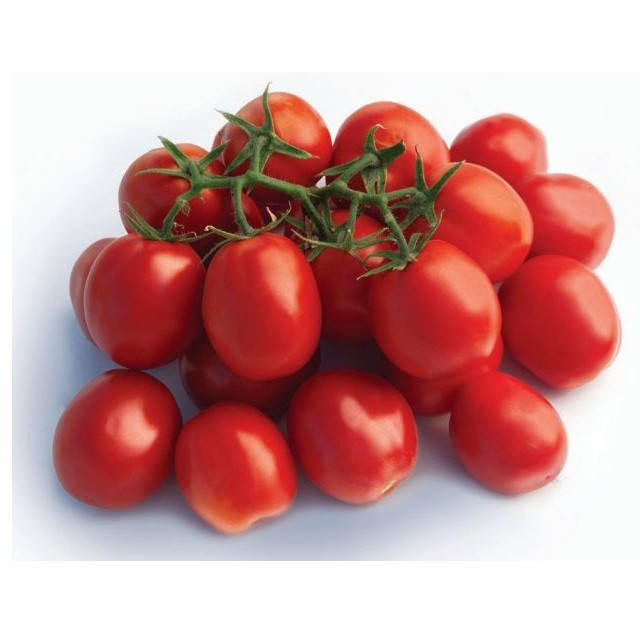

Семена томата Мицено F1 (2500 сем.) Syngenta