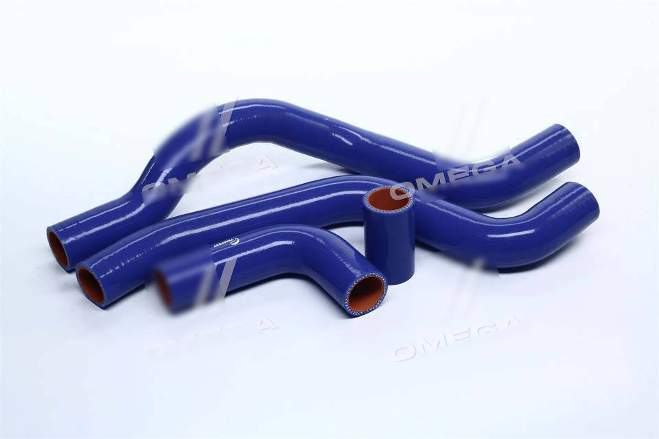 

Патрубки радиатора ВАЗ 2110, 2111, 2112 (16 клап.) (комплект 4 шт.силикон) (TEMPEST) TP.1359