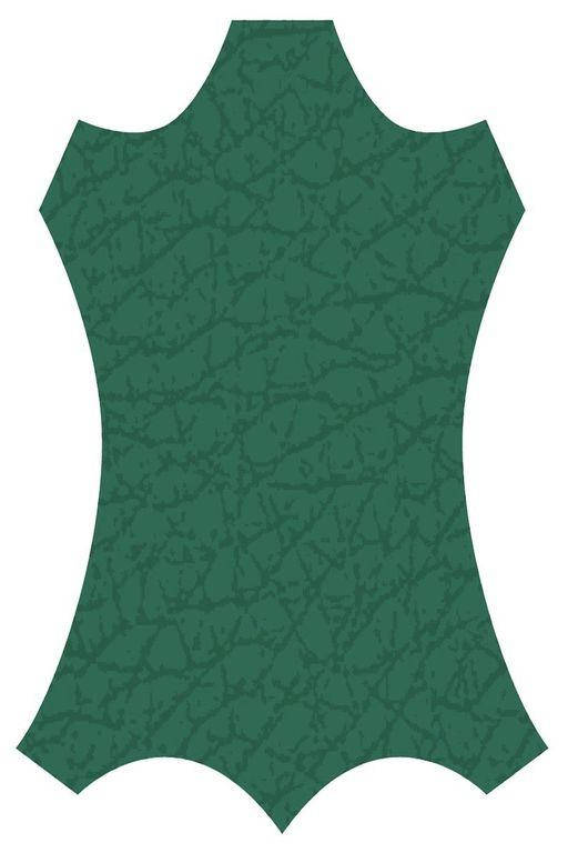 

Краска для кожи KENDA FARBEN TOLEDO SUPER, зеленая сосна, 100 мл. (430240), Зелёный