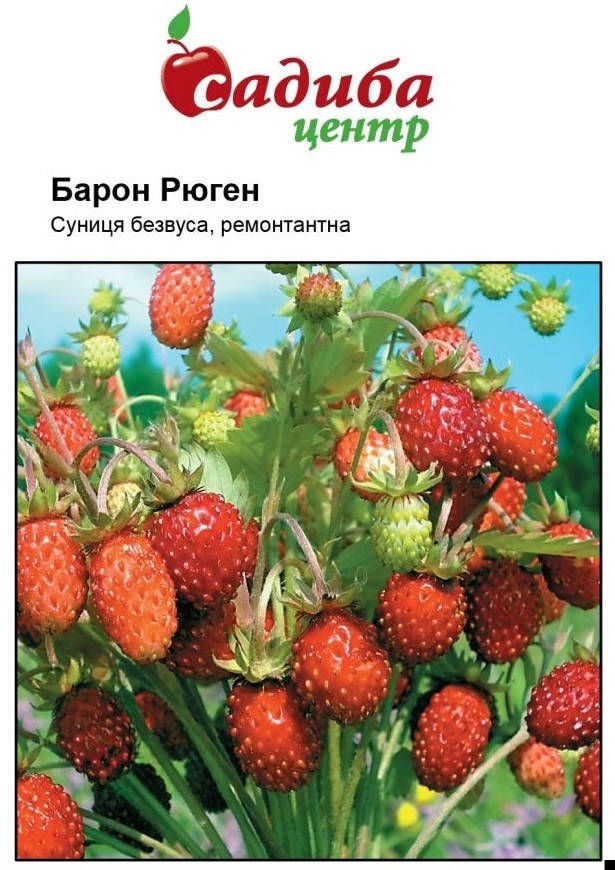 

Барон Рюген семена клубники 0,2 г Hem Zaden Голландия