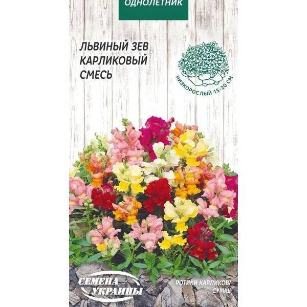 

Львиный зев Карликовый смесь 0,1г (10пачек) ТМ СЕМЕНА УКРАИНЫ