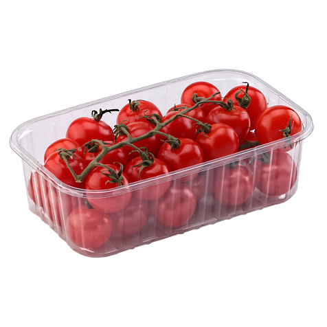 

Пластиковый лоток для ягоды 500 грамм ПЭТ 193*117*53 см