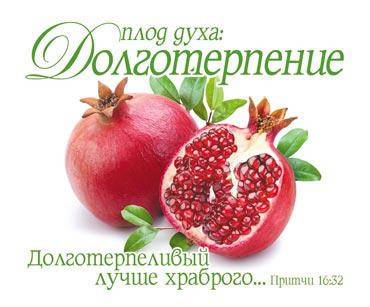 

Открытка карточка "Плод духа: Долготерпение"