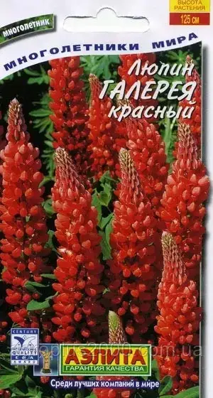 

Семена Люпин многолетний Галерея красный 0,3 грамма Аэлита