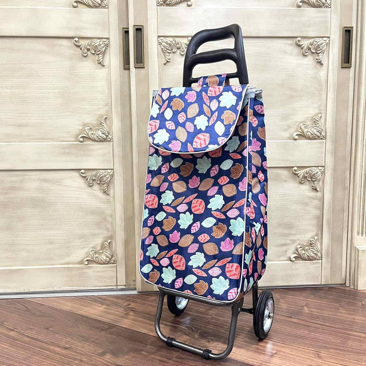 

Тачка хозяйственная двухколесная 95 см (сумка для покупок) листья, Разные цвета