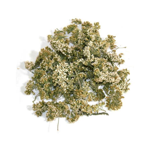 

Тысячелистник обыкновенный трава (Деревій звичайний укр.), 50г