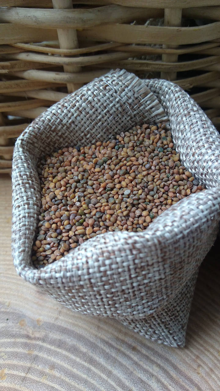 

Семена рукколы 500г на микрозелень