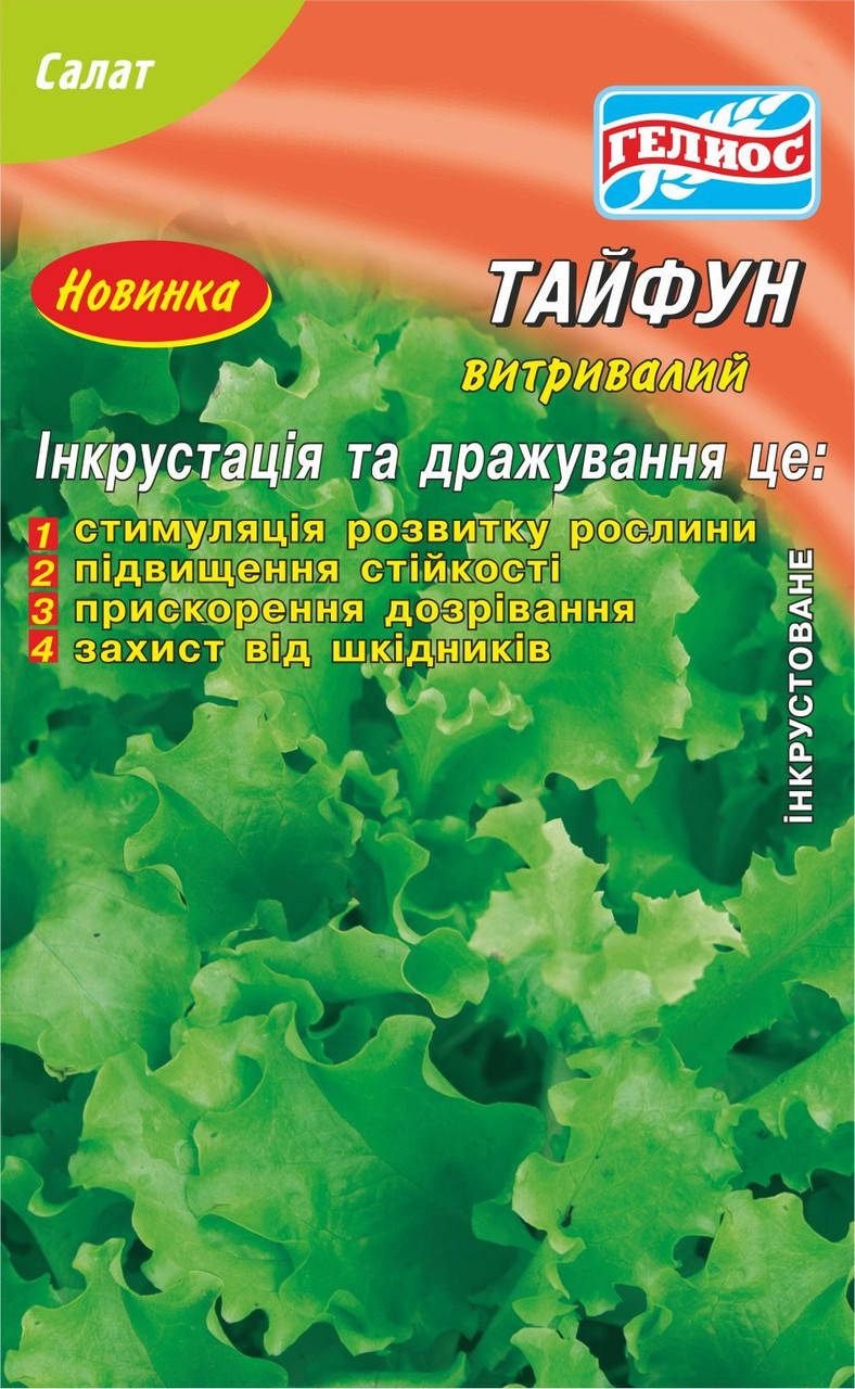 

Семена салата Тайфун 1000 шт. Инк.