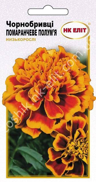 

Бархатцы Оранжевое пламя, Оранжевый
