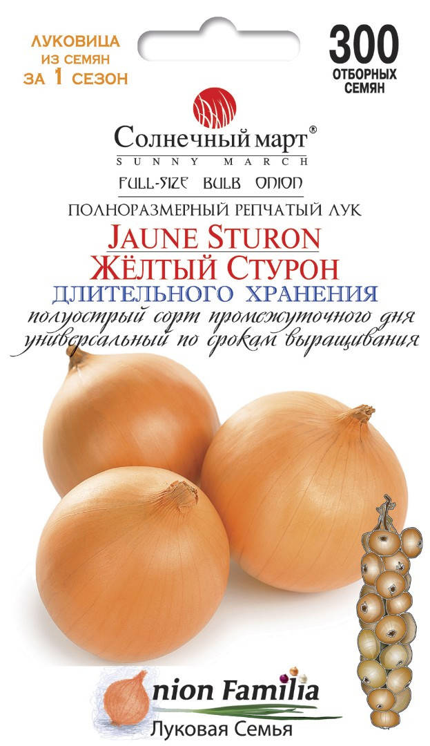 

Лук Желтый Стурон, 300шт.