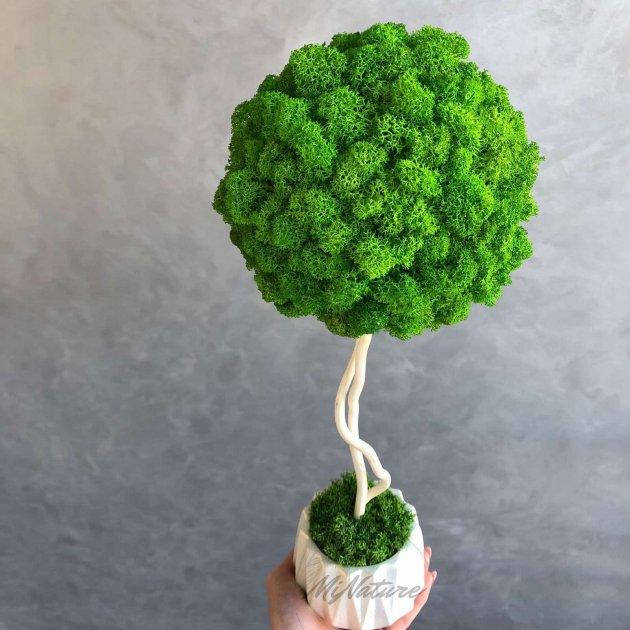 

Дерево со стабилизированым мхом MiNature Moss