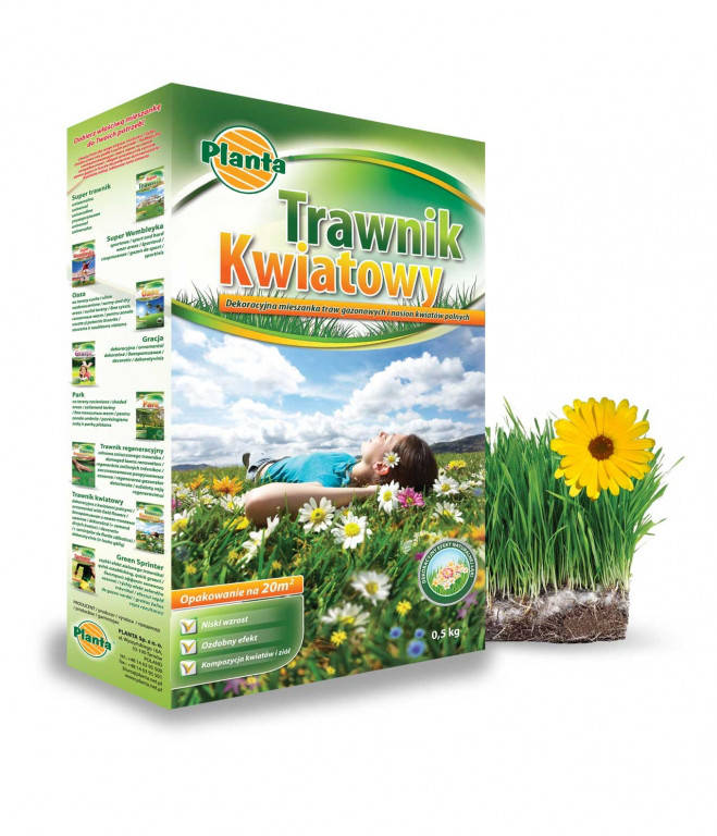 

Цветущий газон Trawnik Kwiatowy Planta 0,5кг Мавританский газон