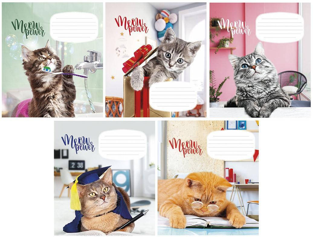 

Тетрадь 18 листов линия "Школярик" / Meow Power