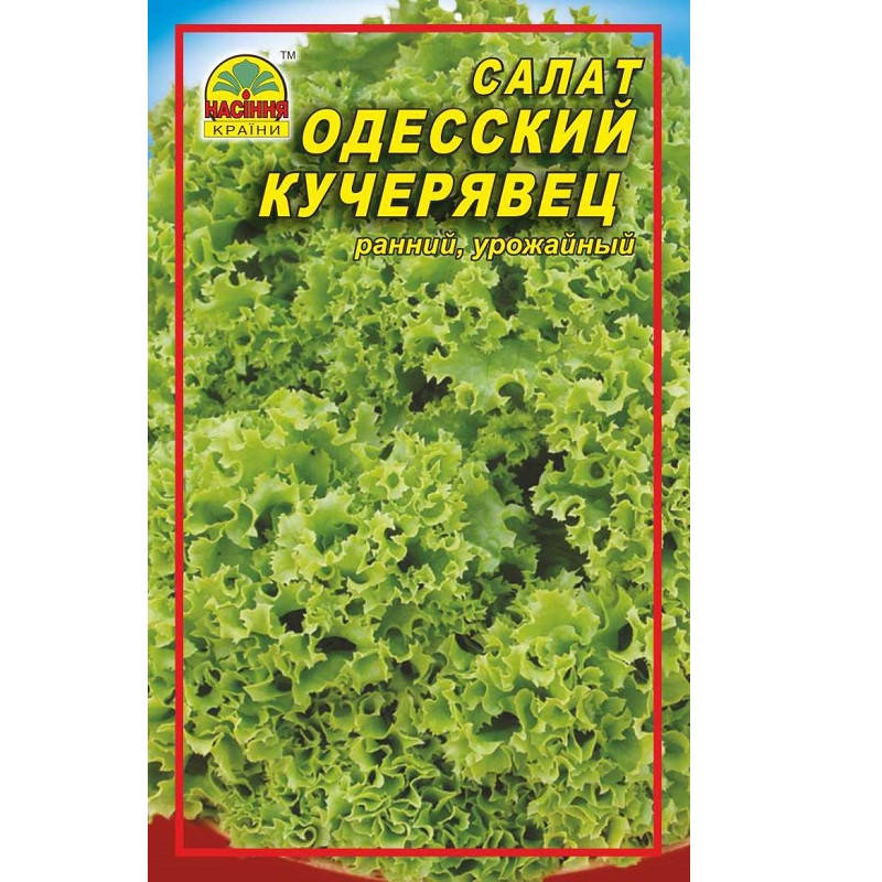 

Семена салата Одесский кучерявец 0,5 г (Насіння країни)