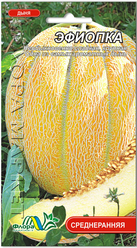 

Семена дыня Эфиопка 2г. Флора маркет