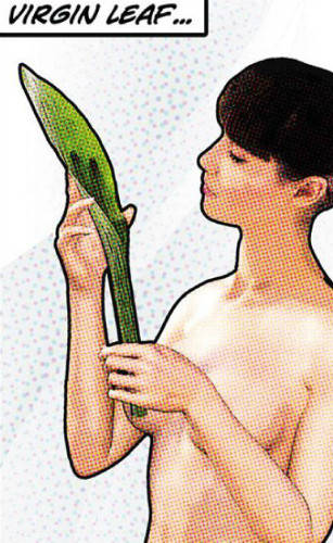 

T-juice Virgin Leaf 5 мл.