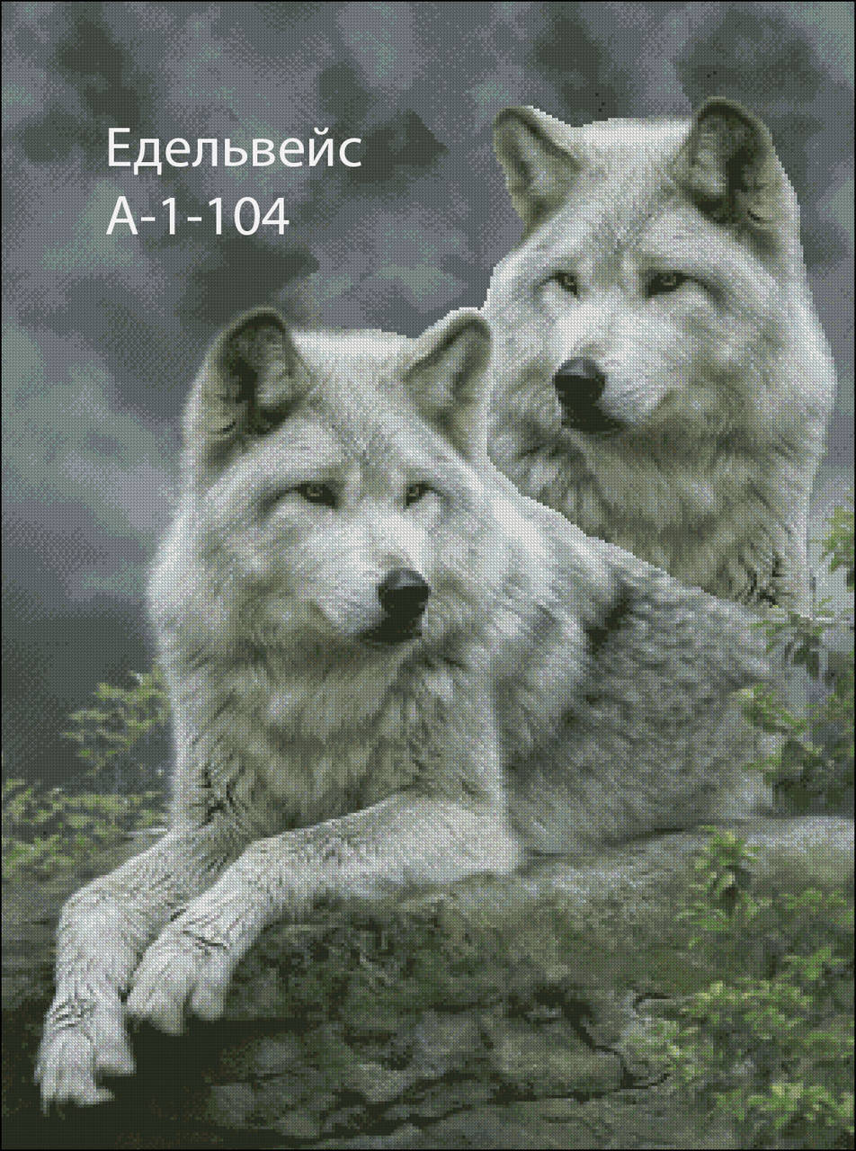 

Заготовка для вышивания бисером Пара Волков