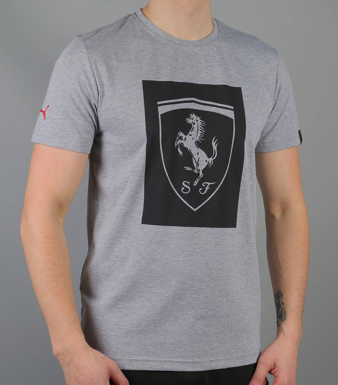 

Футболка мужская Puma (1760-5) L