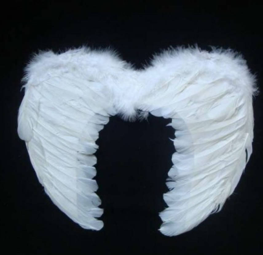 

Крылья Ангела 45х35 см 5418 маленькие белые