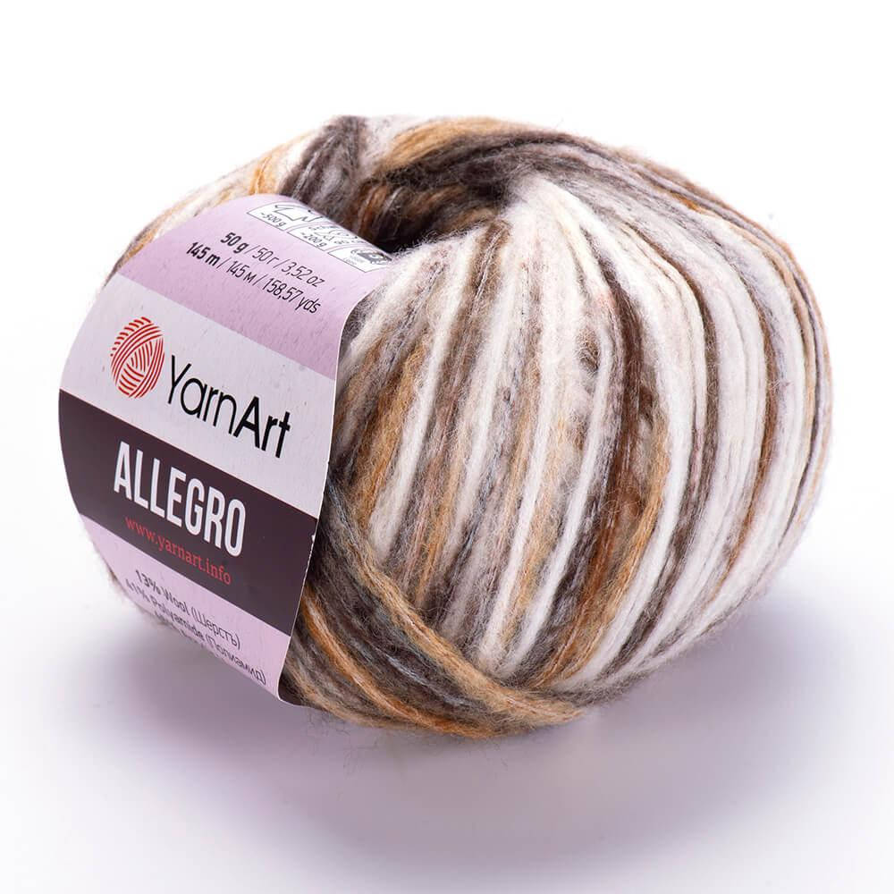 

YarnArt Allegro (ЯрнАрт Аллегро) №741 (Пряжа полушерсть, нитки для вязания), Секционное крашение