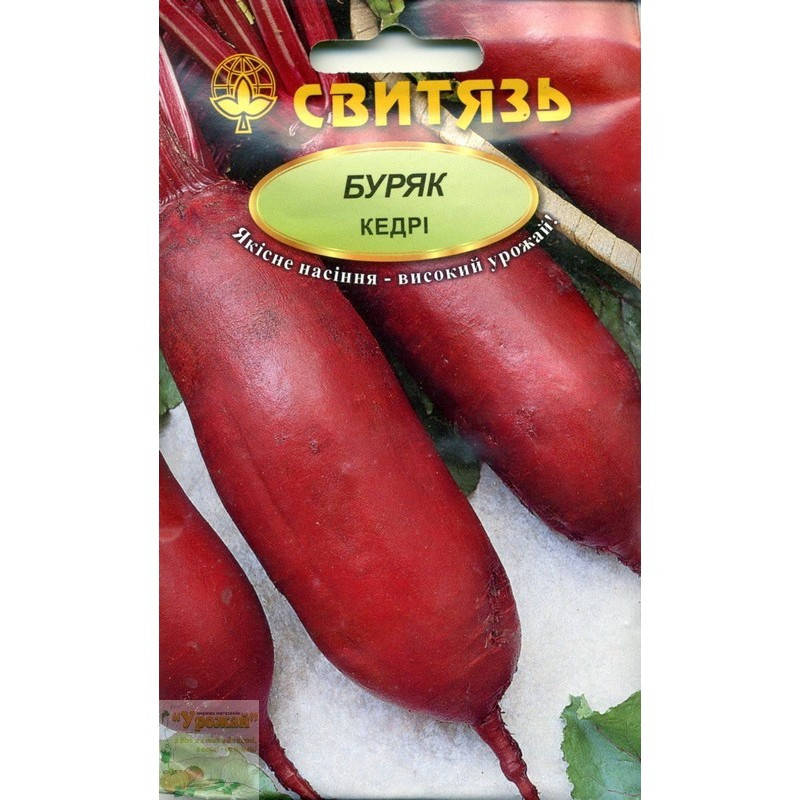 

Семена свекла столовая Кедри, 10 г