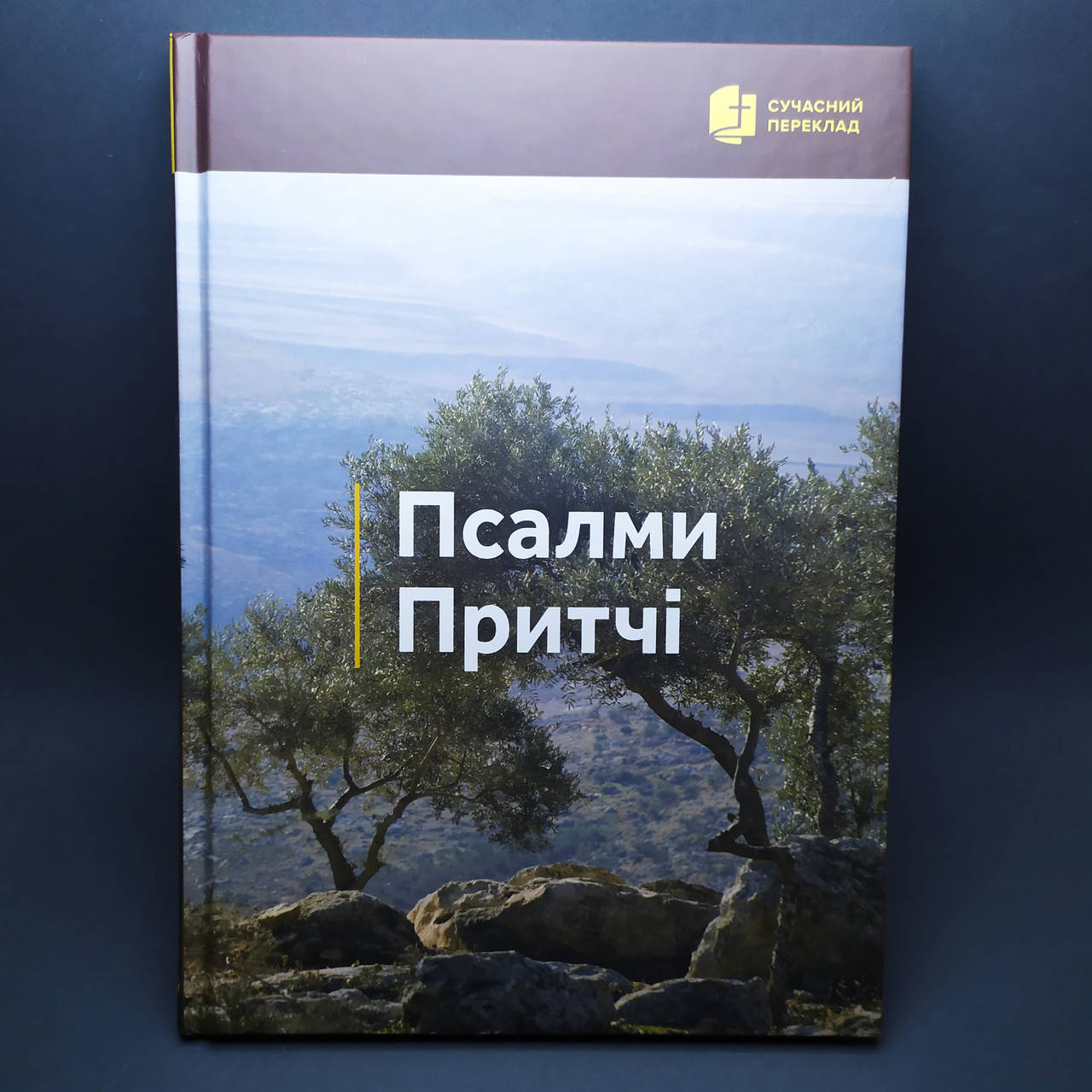

Псалми Притчі сучасний переклад