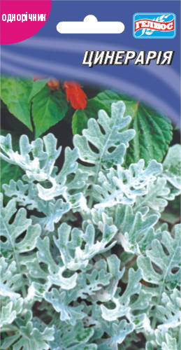

Цинерария 0,1 Г