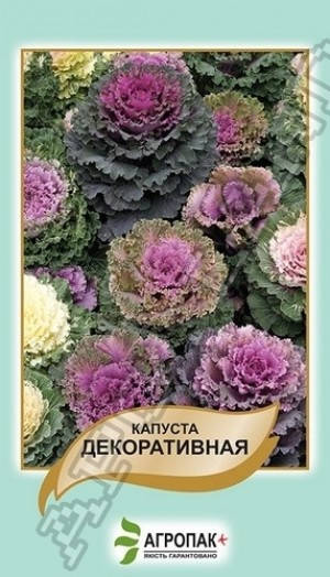 

Семена Капуста Декоративная Смесь 50 семян Legutko, Разные цвета