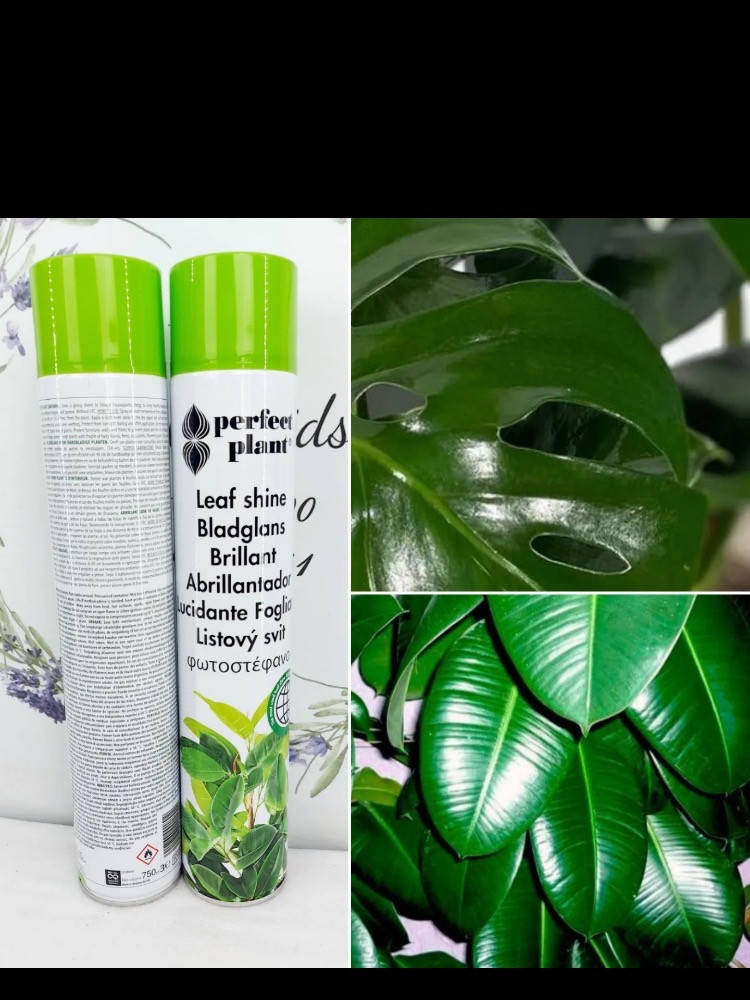

Полироль Perfect Plant 750 ml