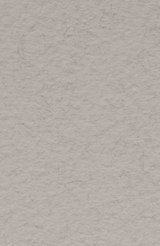 

Бумага для пастели Tiziano A4 кремовый № 28 china 160 г / м2 среднее зерно Fabriano, 164128