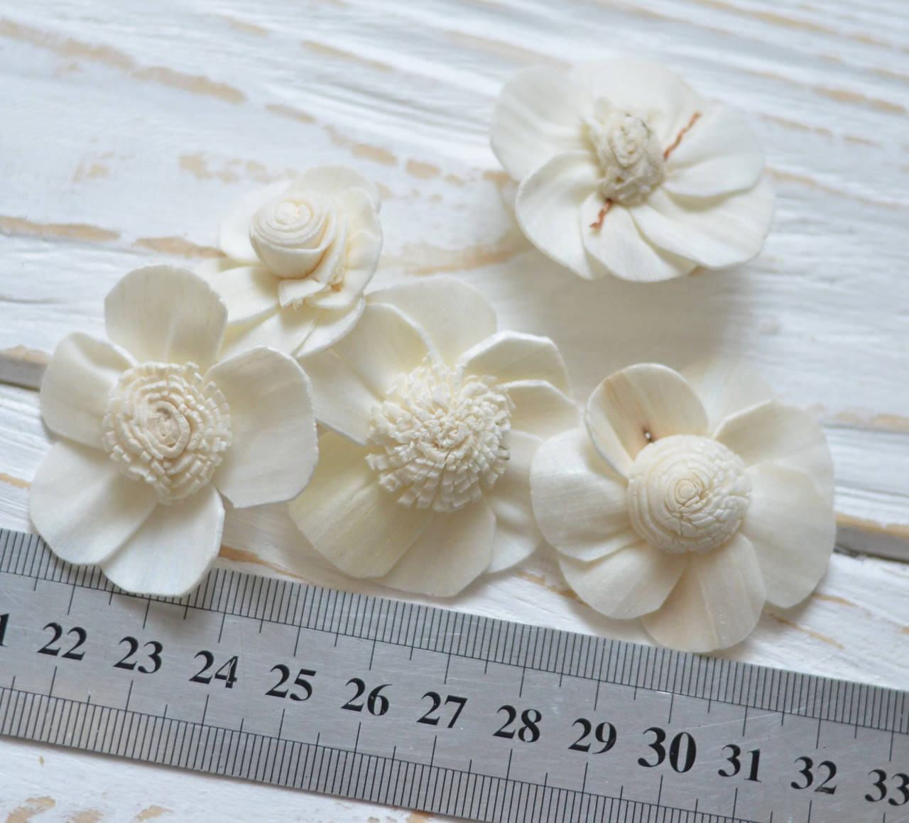 

Сухоцвет цветок одинарный 5шт (сухоцвет SHOLA)