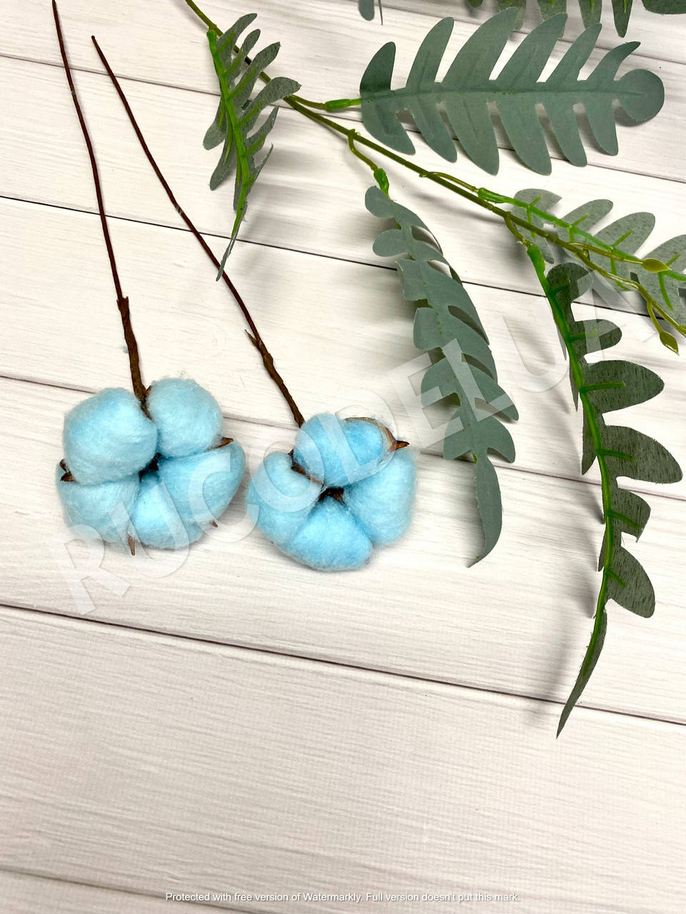 

Хлопок на ножке голубой. Ветка хлопка. Хлопок голубой коробочка