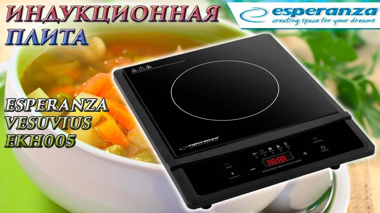

Индукционная плита Esperanza EKH005 на 2000Вт