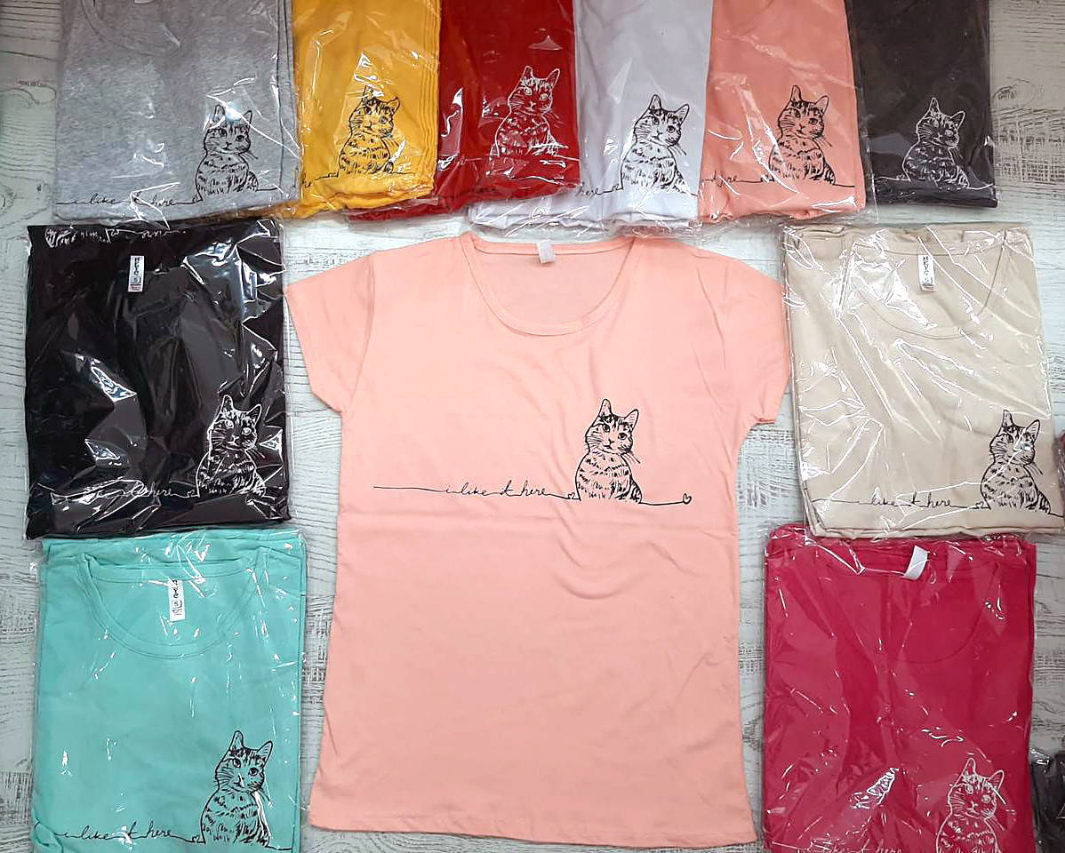 

Однотонная футболка с маленьким рисунком 44-48 (в расцветках)