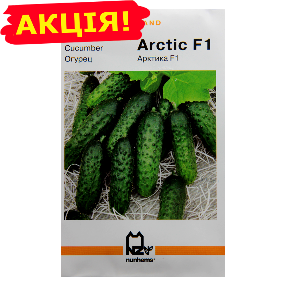 Балкан F1 Купить Семена
