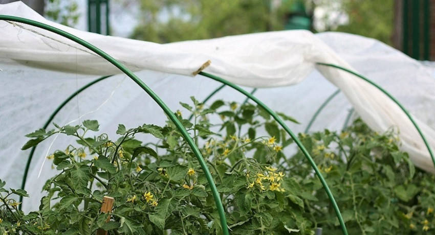 

Парник 4 м из агроволокна AGREEN, Белый