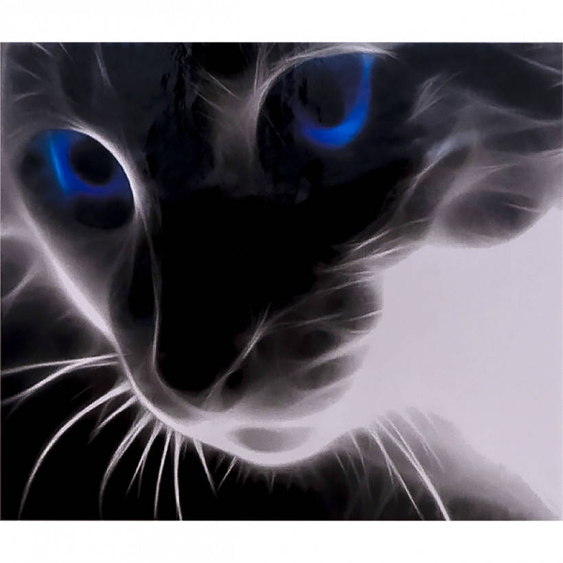 

Алмазная мозаика 40х50 см DIY Кошачьи глаза (SL 73372)