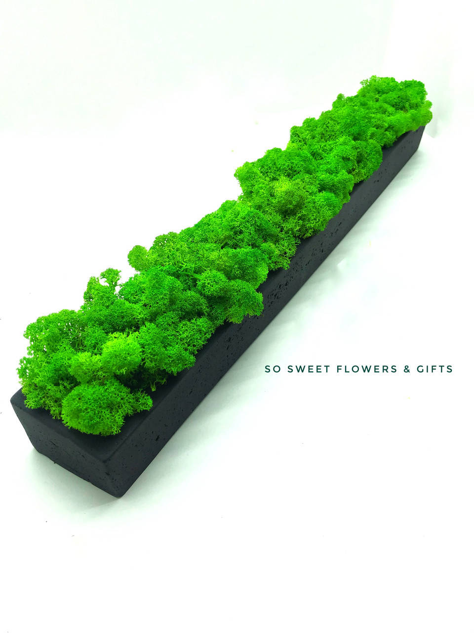 

Бетонное кашпо черное со стабилизированным мхом SO Green Соу Грин 50 х 5см