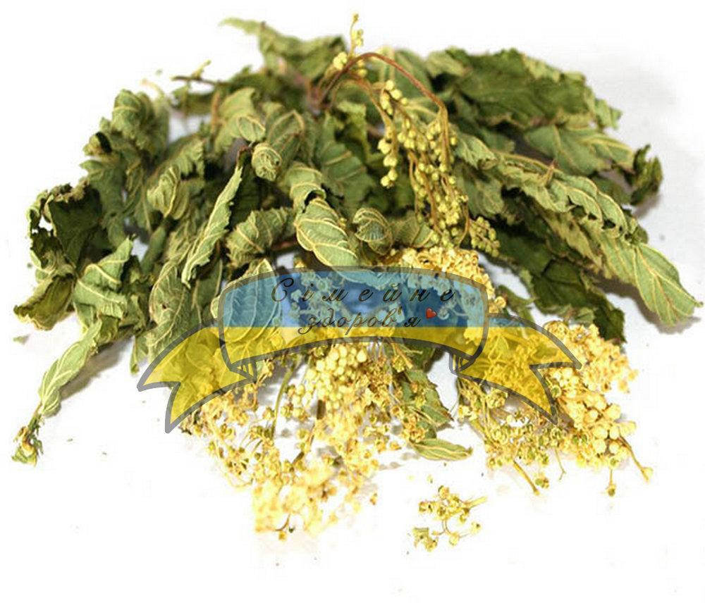 

Лабазник (таволга) вязолистый трава сухая 1кг