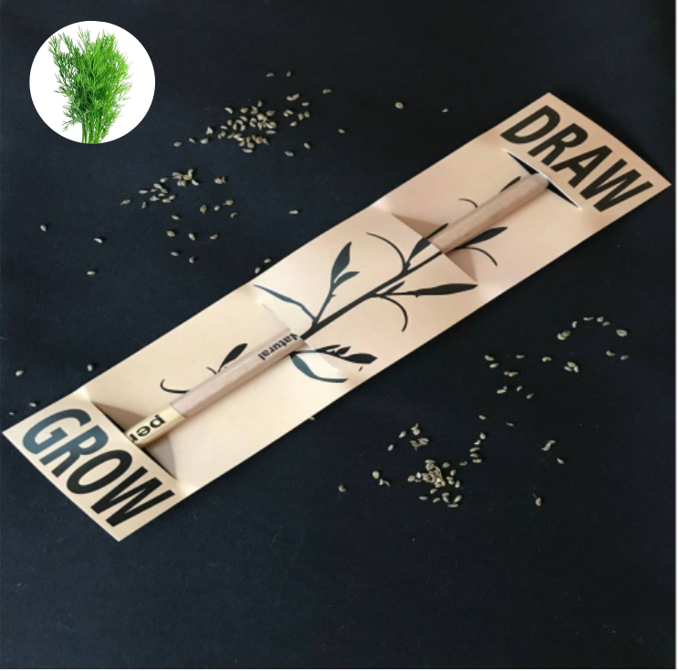 

Растущий карандаш Draw&Grow (укроп)