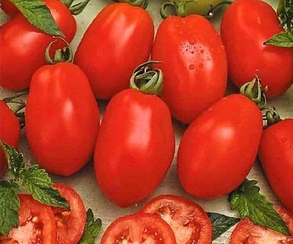 

Томат Рио Гранде 0.1 г