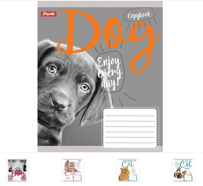 

А5/48 лин. 1В CAT, тетрадь для записей 10шт в упак. //