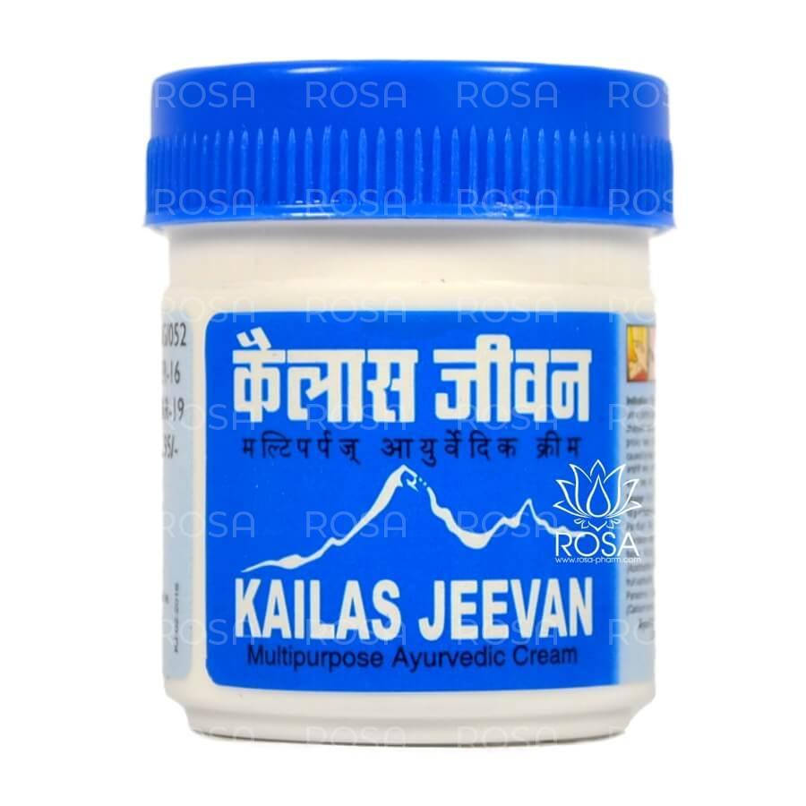 

Мазь-бальзам Кайлаш Дживан (Kailas Jeevan, ASUM) натуральное обезболивающее средство, 60 г