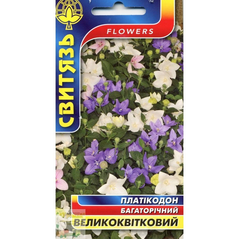 

Семена цветы Платикодон крупноцветный, 0,1 г