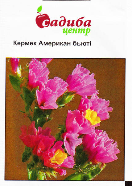 

Семена Кермек Американ Бьюти 0,1 г
