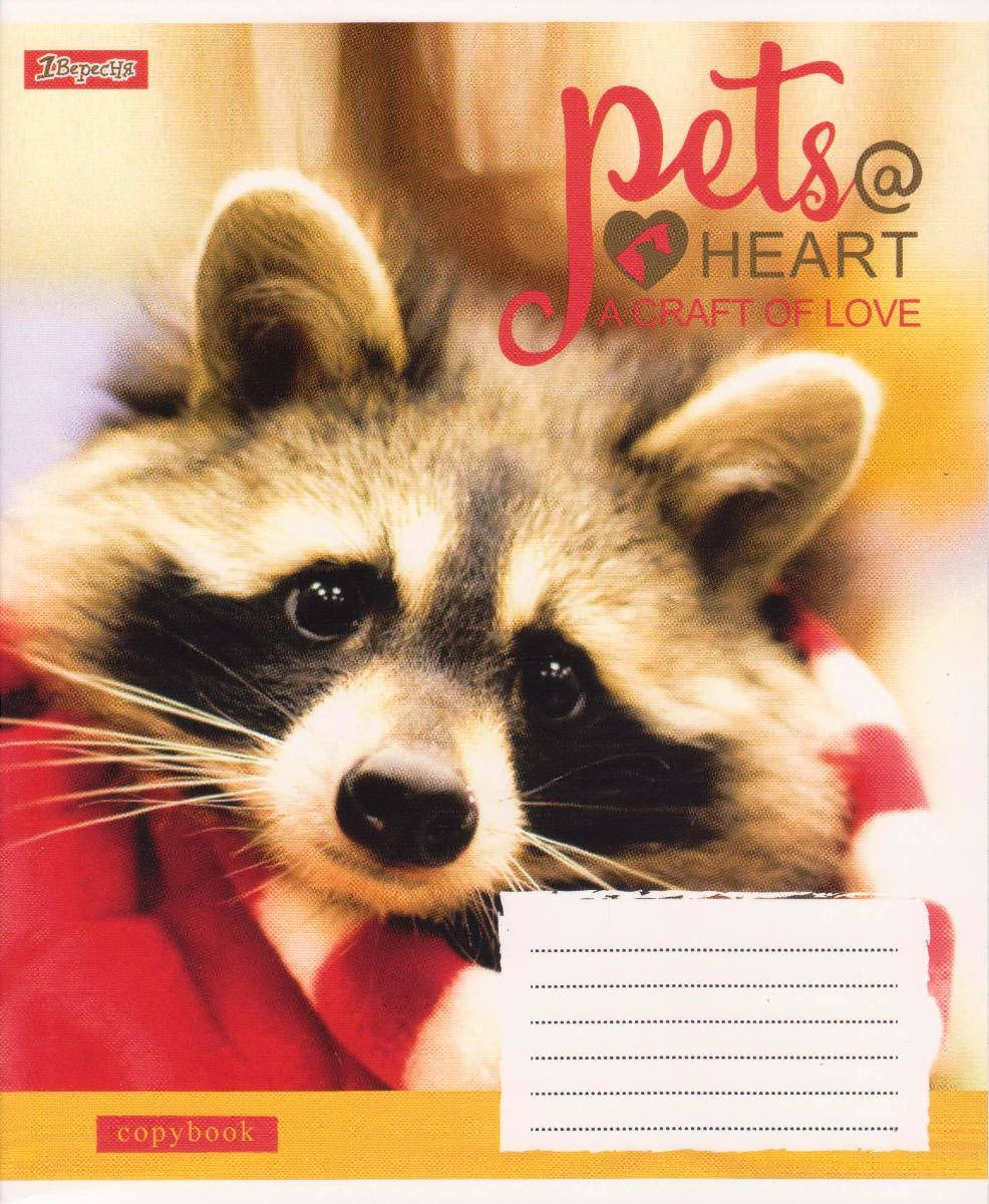 

Тетради 48 л. линия "Pets Heart" 762716
